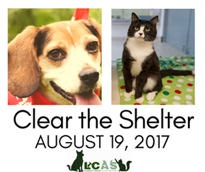 Image of Clear the Shelter Graphic